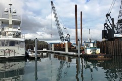A-Dock-wall-11-10-20