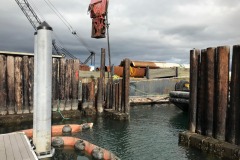 A-dock-wall-3