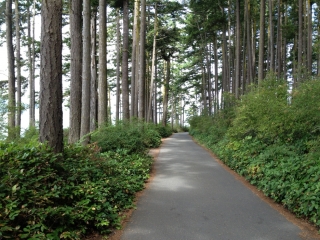 wa-park-trail